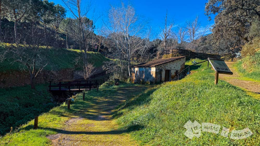 Molino de Rodezno "Tolete"