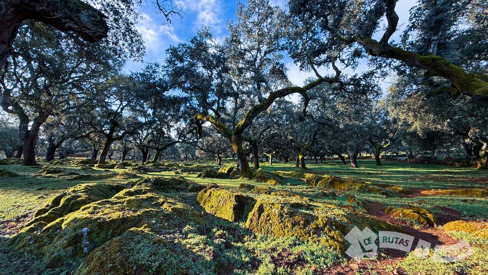 Precioso entorno adehesado