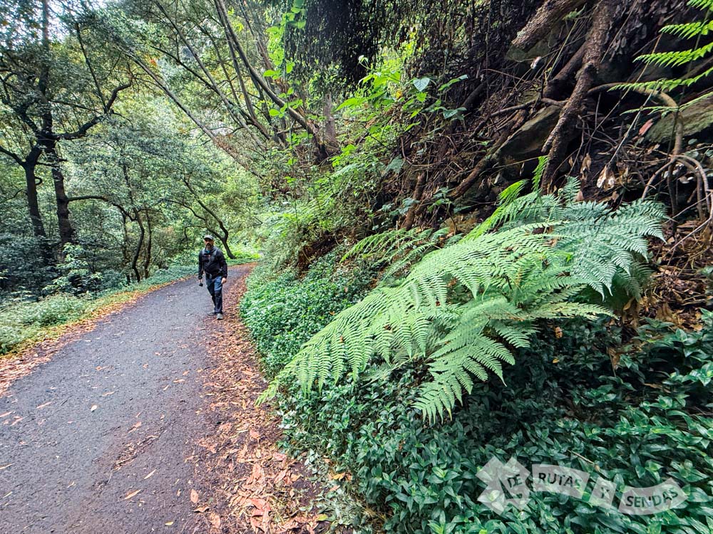 Barranco de La Galga