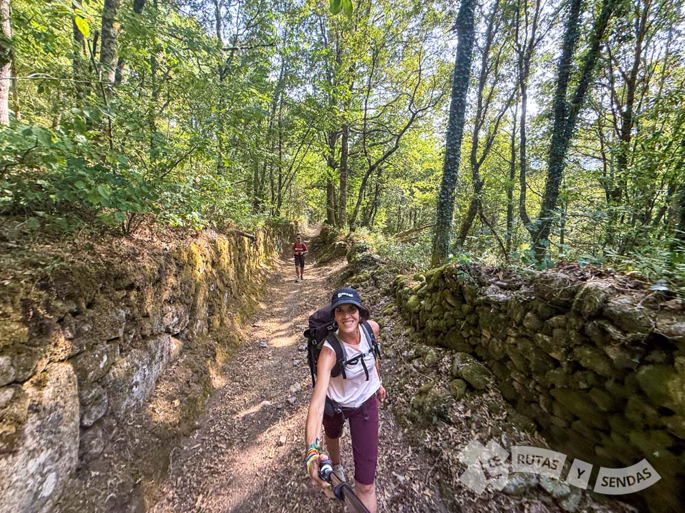 Robledales de Vilameá